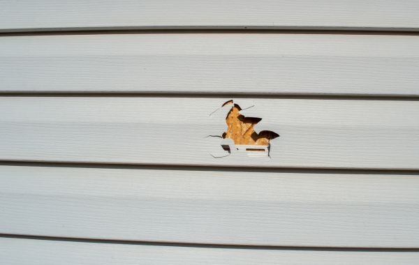 Cost of Siding Hole Patching in Dallas